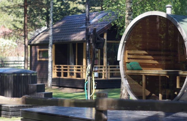 Metai Miške&a Year in the Forest - Photo 23