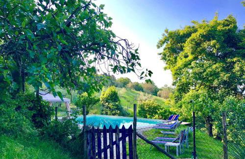 Ala di Maniero in Agriturismo Valdrago in Toscana, nel Verde Mugello sulle Colline di Firenze Autodromo Mugello Circuit - Foto 14