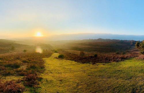 Luxury house in The New Forest - Foto 39