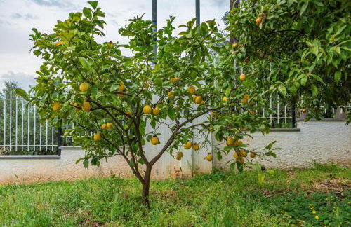 KrinesGReece - Foto 46