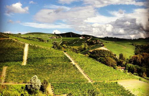 Cascina Maina - Foto 20