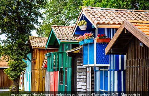 Maison piscine 4 ch Carcans Médoc Bassin Arcachon - Foto 37
