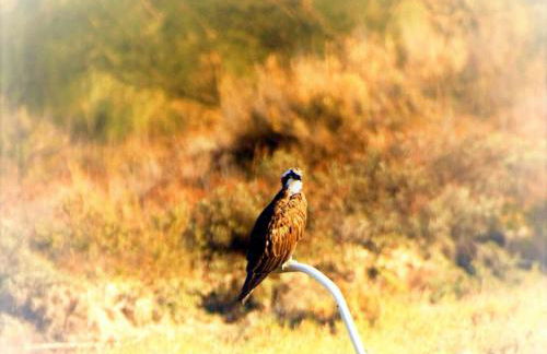 CozyHome - Cabanas - Photo 55