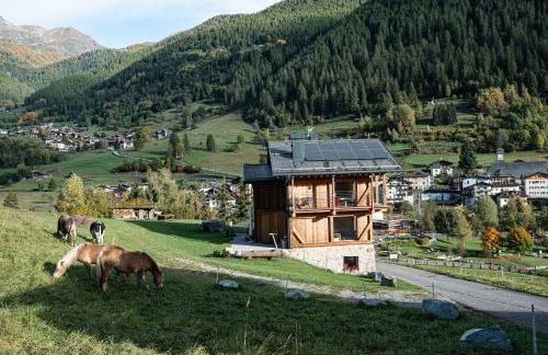 Maso Stregozzi - Valorz - Foto 44