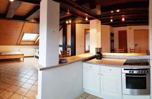 Penthouse Apartment near Nürnberg - Foto 8