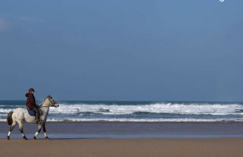 Seagulls Perch - Foto 20