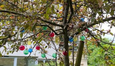 Superbe 3 pièce jardin - Foto 5, Garden view