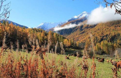 Les Orres Appartement dans le hameau du Mélezet - Foto 17