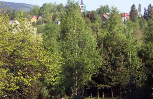 Domki Dzika Orlica - Foto 32