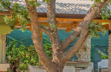 Studio APP Luka-We love nature. - Foto 21