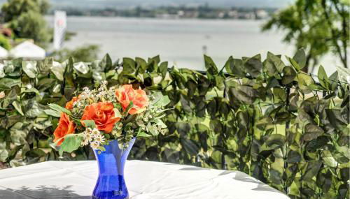 Reichenaublick - Foto 5