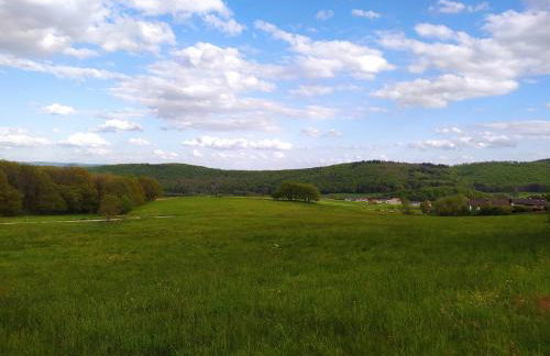 Haus Kellerwald - Ferienwohnung Kellerwald-Edersee - Foto 42