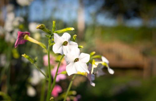 West Cottage, Southlands Farm, Gunnerton - Foto 24
