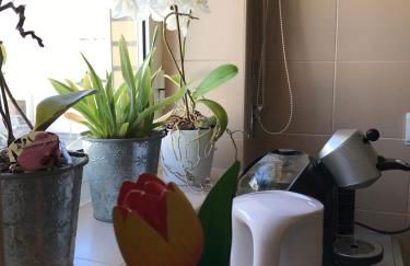 Varandas da Sandia - Foto 23