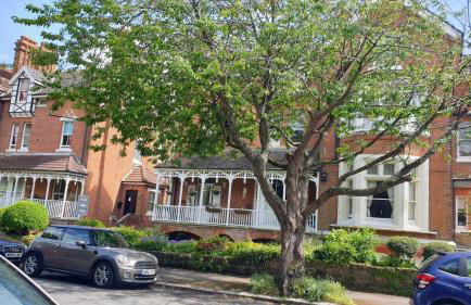 Beautiful Garden Apartment in Leafy St Leonards 5 Mins to Beach - Foto 1