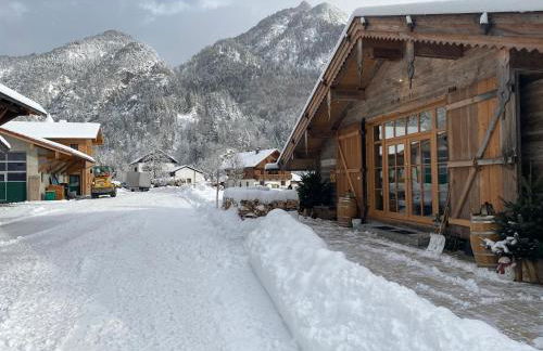 Nickis Bergcamp - Foto 66