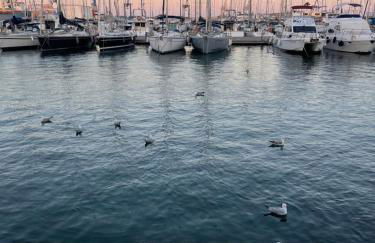 Centrally Located Spacious Private Apartment BuenaVista in Grao with Rooftop - Photo 46