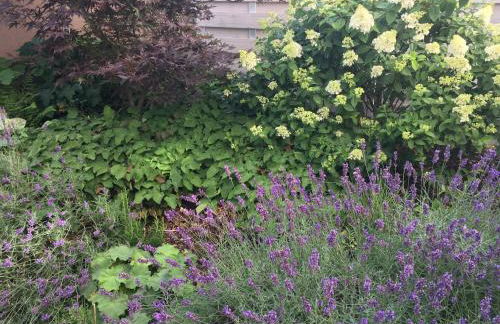 Weinreisedomizil mit eigenem Garten und Parkplatz - Foto 18