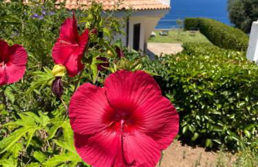 Villa Sofia *Luxury experience in Calabria - Foto 42