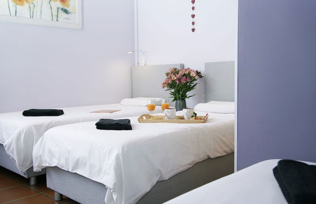 Le Domaine du Plantier - Photo 13