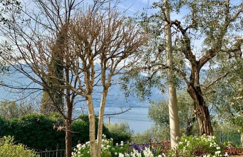 Casa Daniela - Foto 13