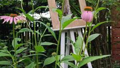 Miętowy domek - Foto 3, Garden