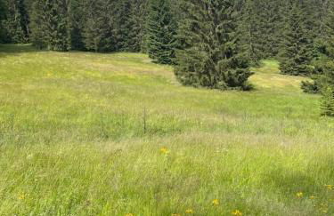 Thüringer Wald-Zauber - Foto 38