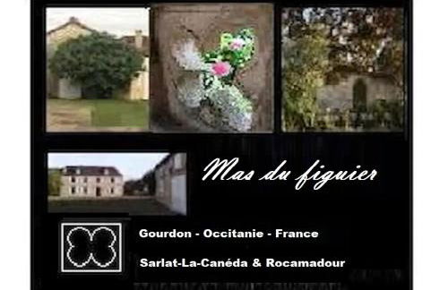 Mas du figuier Occitanie - Maison de maitre - Foto 1