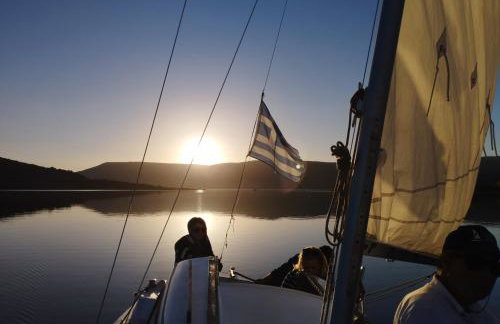 ΒΙΟΚΛΙΜΑΤΙΚΟ ΗΛΙΟΠΕΤΡΟΣΠΙΤΟ στην ΑΡΧΑΙΑ ΒΟΚΕΡΙΑ - Photo 23