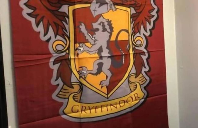 6149 Sandcrest · Next TO Universal. 8 Beds. Pool. Very Clean - Photo 37