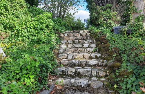 FeWo zum Römerturm - Foto 30