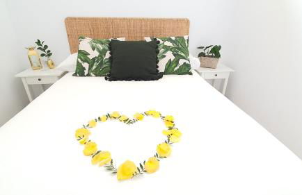 ALAYNA´S HOMES - Foto 34