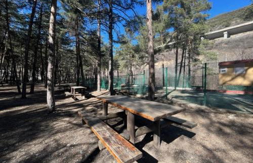 Bolla's House - Photo 12