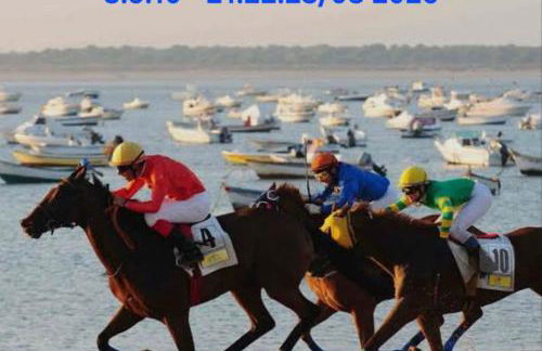 Tierra y Mar - Foto 20