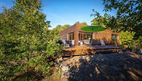 L'Ecrin de Bois - Maison d'architecte avec Spa sur un grand terrain arboré - Foto 3, Garden, Garden view