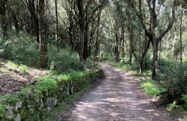 Vivi Natura - Foto 34