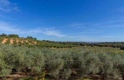 Colladopino La Puebla de Los Infantes by Ruralidays - Photo 6