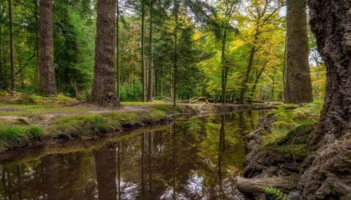 Marigold Cottage - Foto 5