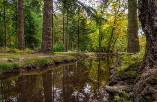 Marigold Cottage - Foto 5