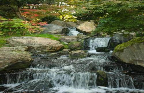 Cottage in Brookland Near Romney Marsh Beach - Photo 62