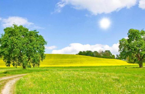 Cozy Home In Krems Iiwarderbrück - Foto 36