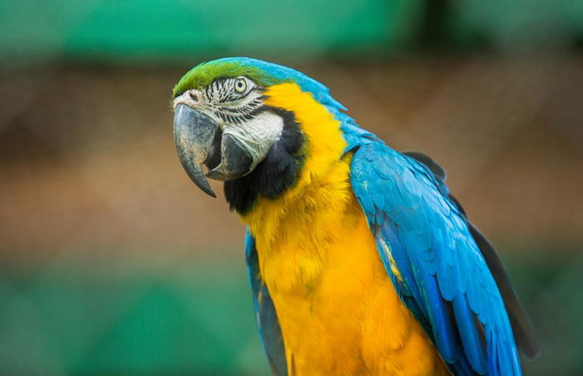 Visite de la ville de Balneário Camboriú - Photo 1