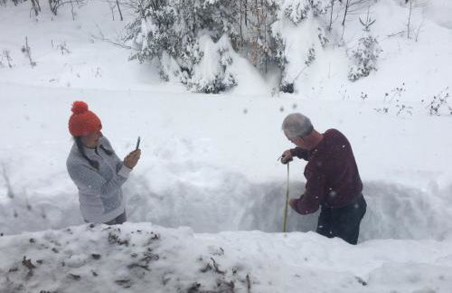 Bill's Place In Vermont - Foto 34