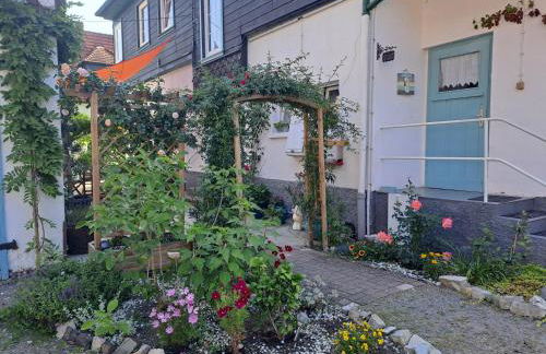 Sonniges Apartment Altenbrak - Foto 19