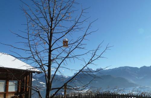 Oberhauser Hof - Apartments - Foto 21