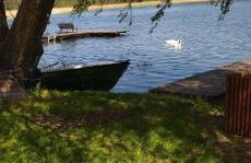 Zielona Dolina - Foto 50