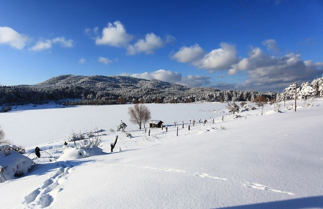 Ege Termal Apart Hotel - Photo 35