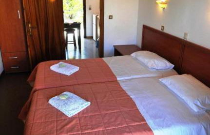 SEAHORSE healing effect - Foto 6