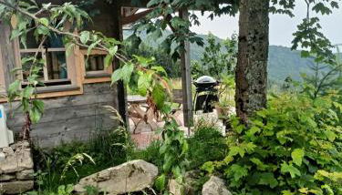 Berghütte am Grandsberg - Foto 3