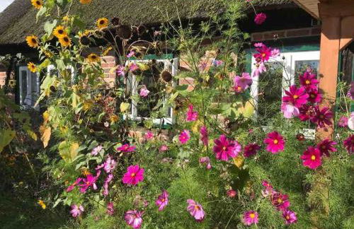 Haus an Fluss und See - Foto 32